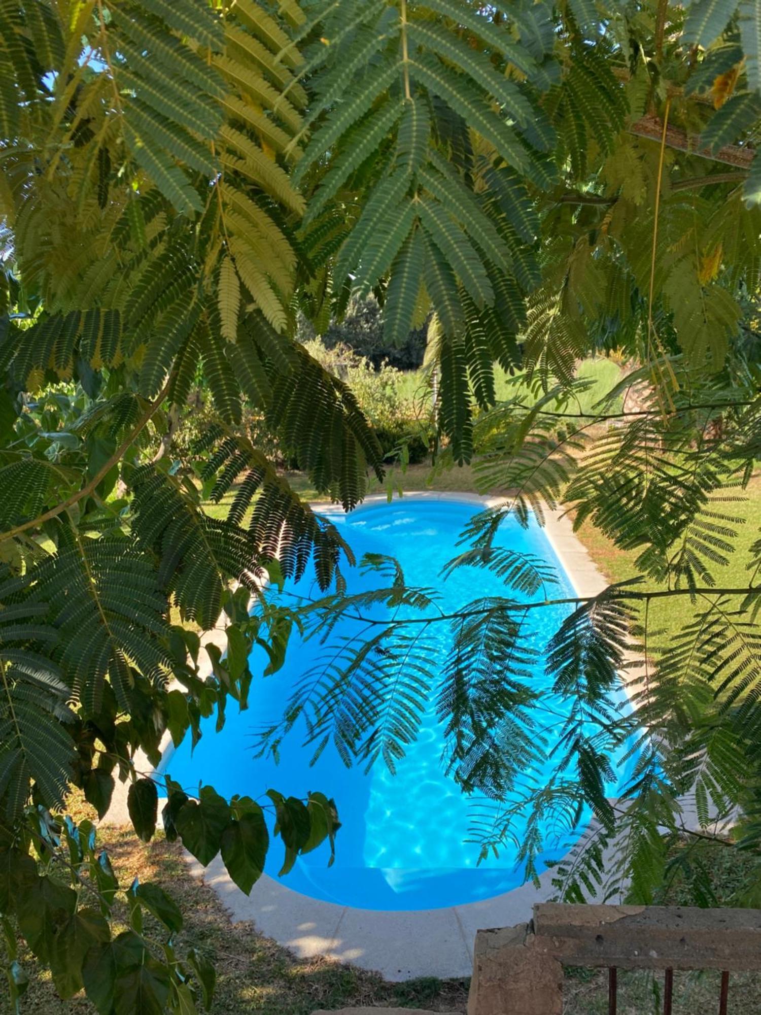 Higueras Y Olivos Villa กันเดเลดา ภายนอก รูปภาพ